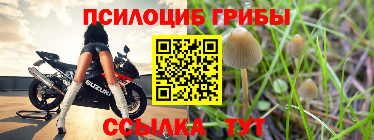 Галлюциногенные грибы ЛСД  Вход с VPN  Стрежевой 